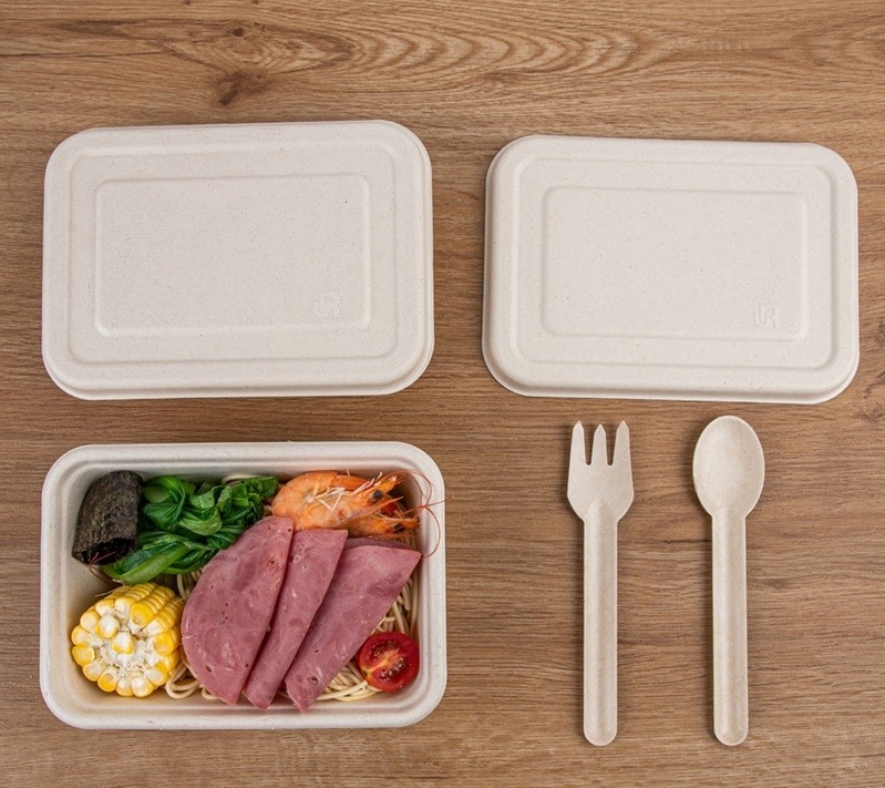Disposable Sugarcane Takeaway to Go Lunch Box Food Containers for Restaurants Hotel