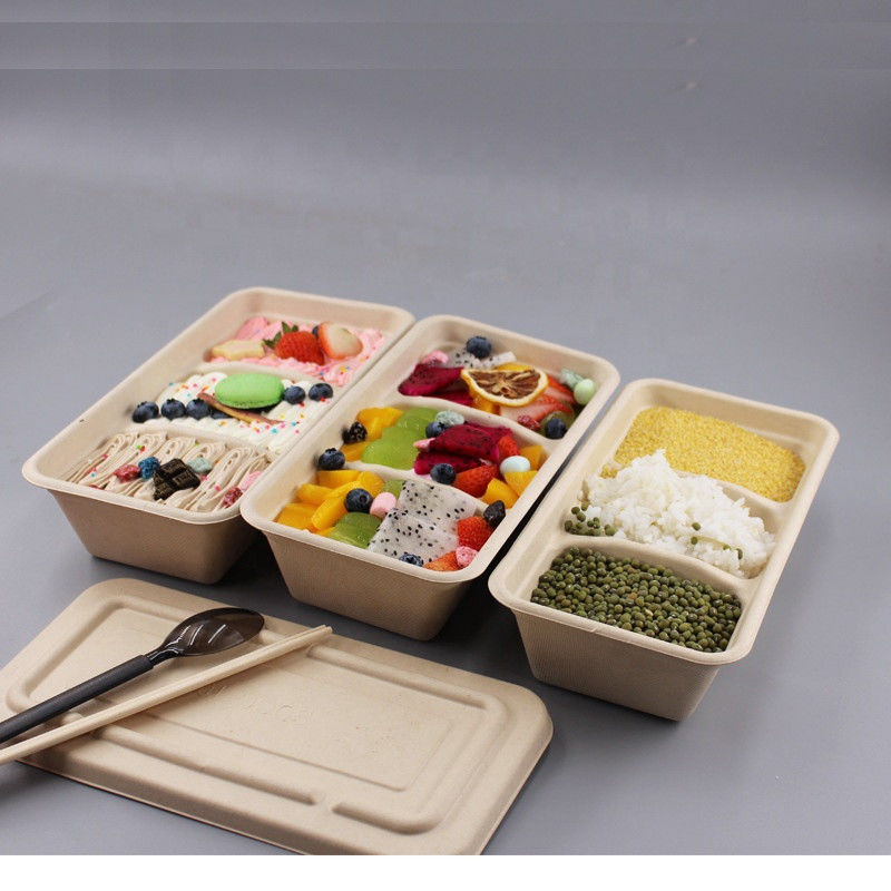 100% Compostable Food Container
