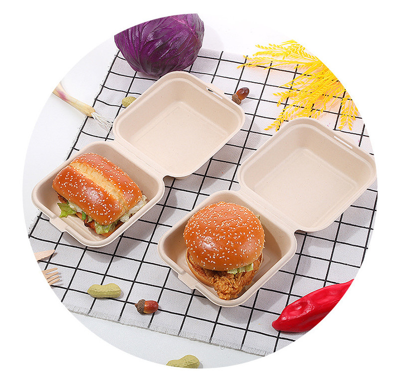 6 Inches Sugarcane Burger Bagasse Take Away Lunch Box Biobased Biodegradable